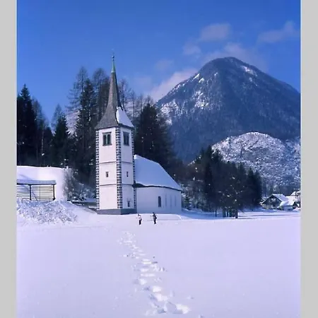 Apartma Mountain Dreams Near Triglav National Park And Kranjska Gora Апартаменты *