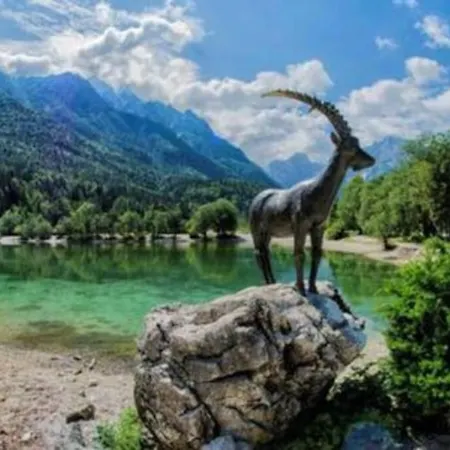 Апартаменты Apartma Mountain Dreams Near Triglav National Park And Kranjska Gora *