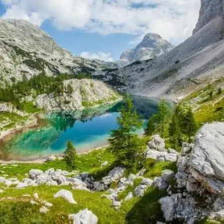 Apartma Mountain Dreams Near Triglav National Park And Kranjska Gora Мойстрана