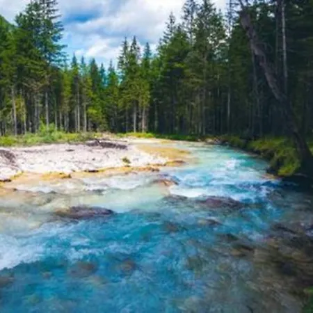 Apartma Mountain Dreams Near Triglav National Park And Kranjska Gora *